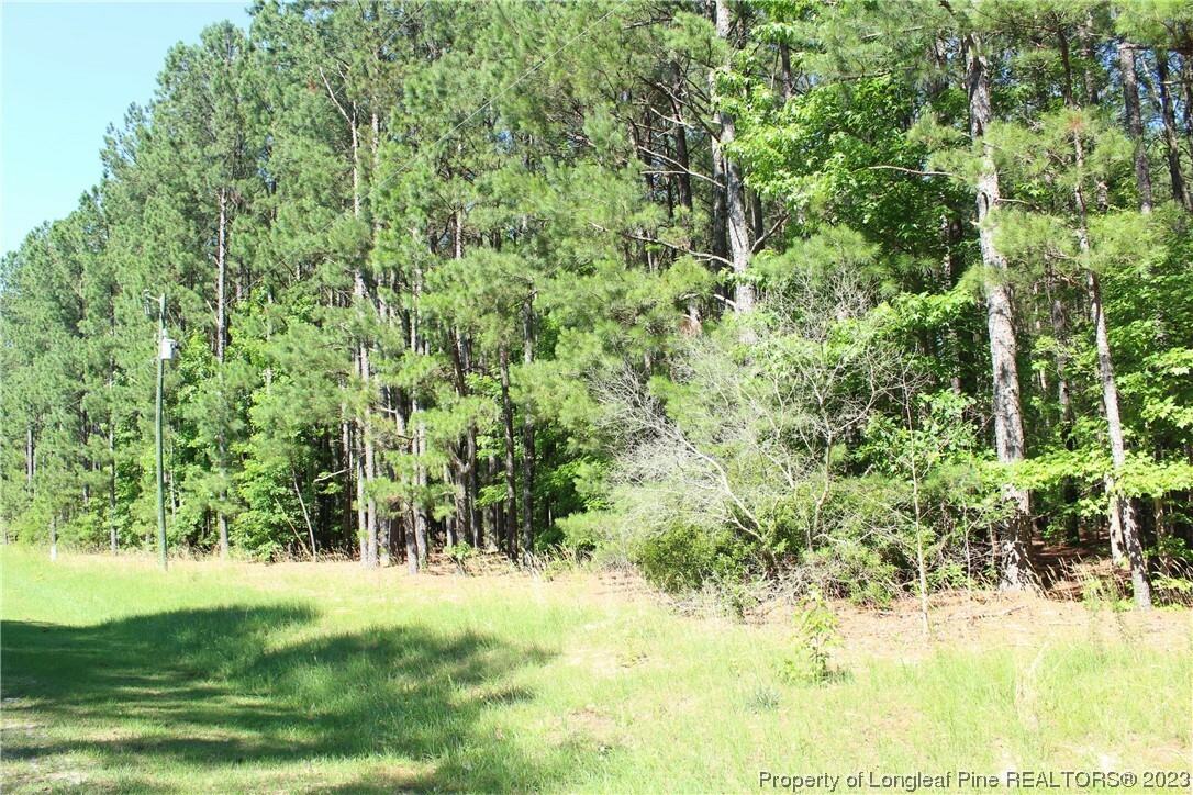 Property Photo:  0 Pressly Foushee Road  NC 27330 