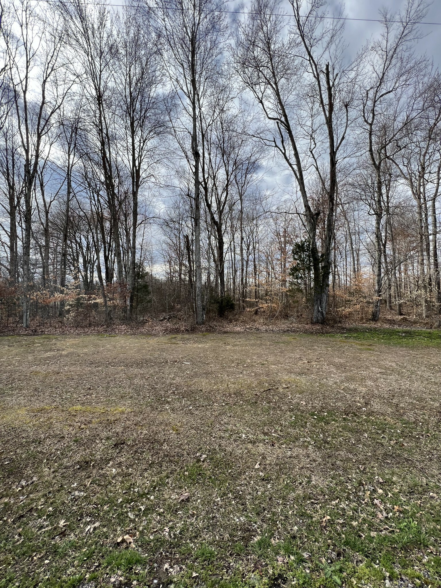 Property Photo: 0 Pointe Lane TN 37083
