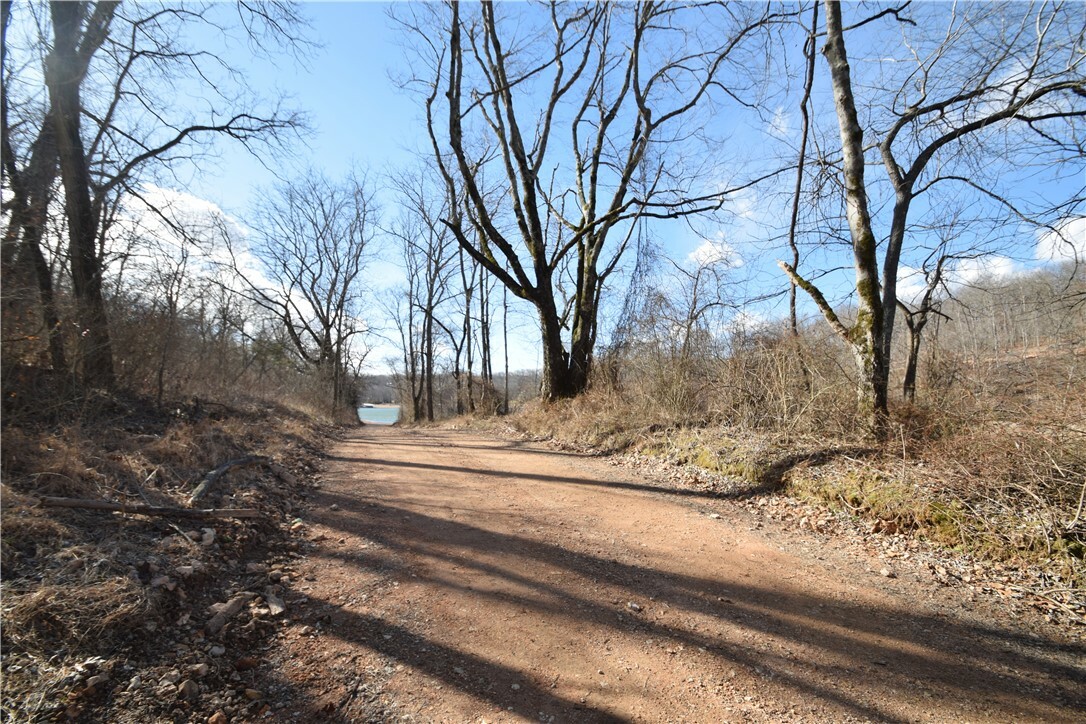 Property Photo:  Walkenbach Tract 8 Road  AR 72756 