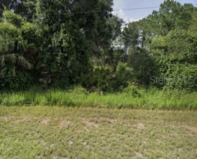 Property Photo:  E Hillsborough Boulevard  FL 34288 