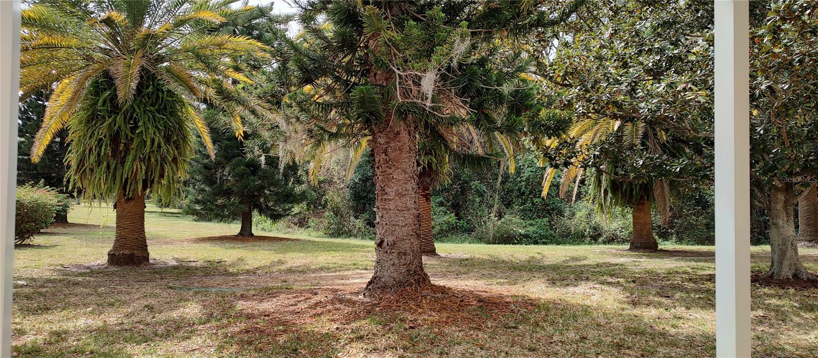 Property Photo: 2170 Americus Boulevard N 22 FL 33763