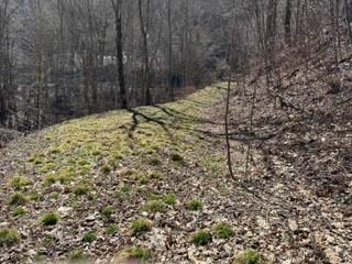 Property Photo: 975 Asgi Trail C31 NC 28751