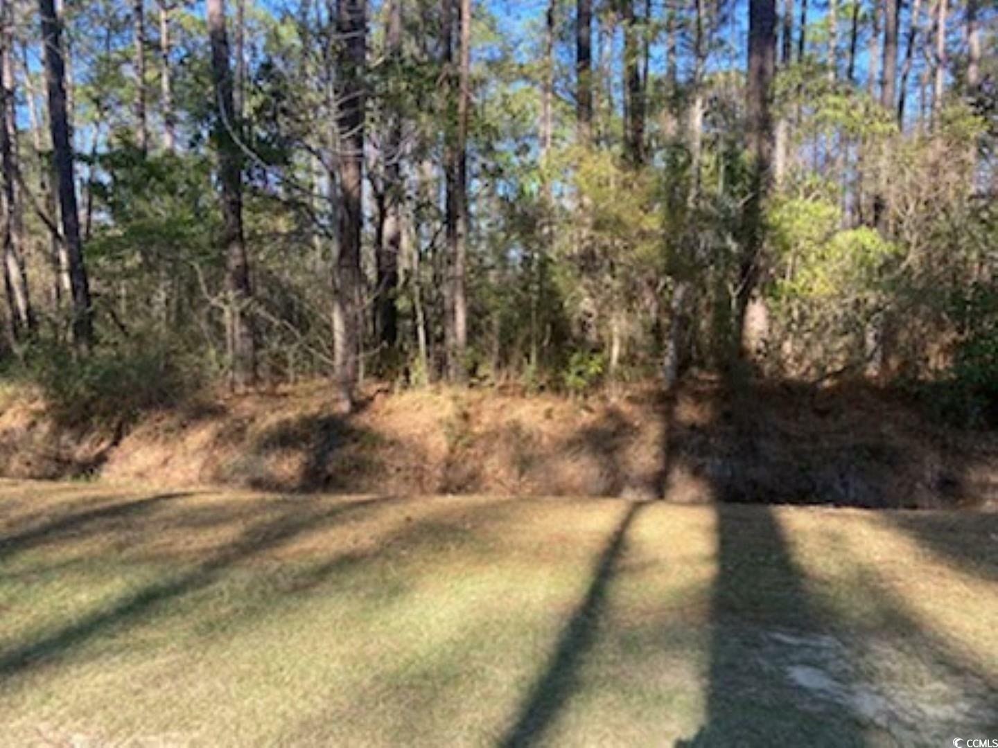 Property Photo: 9 Gumwood Dr. NC 28467