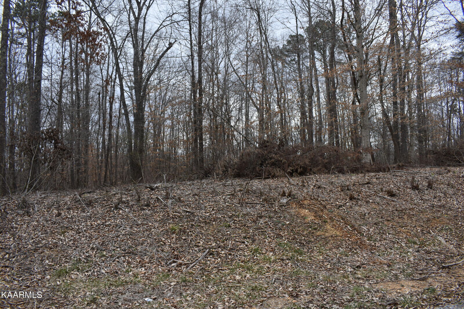 Property Photo:  Lot 10 Jones Ridge Rd  TN 37870 