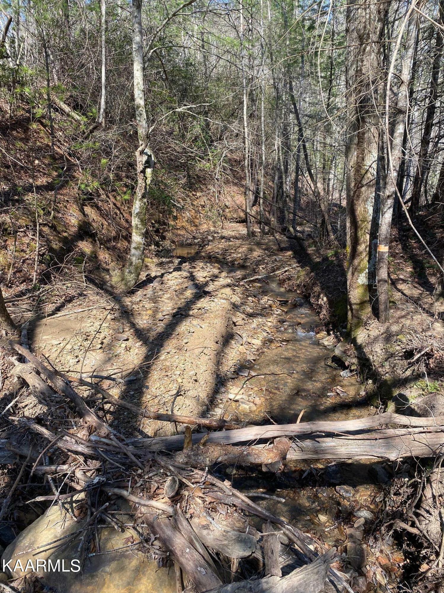 Property Photo: 0 Stanley Creek Rd TN 37841