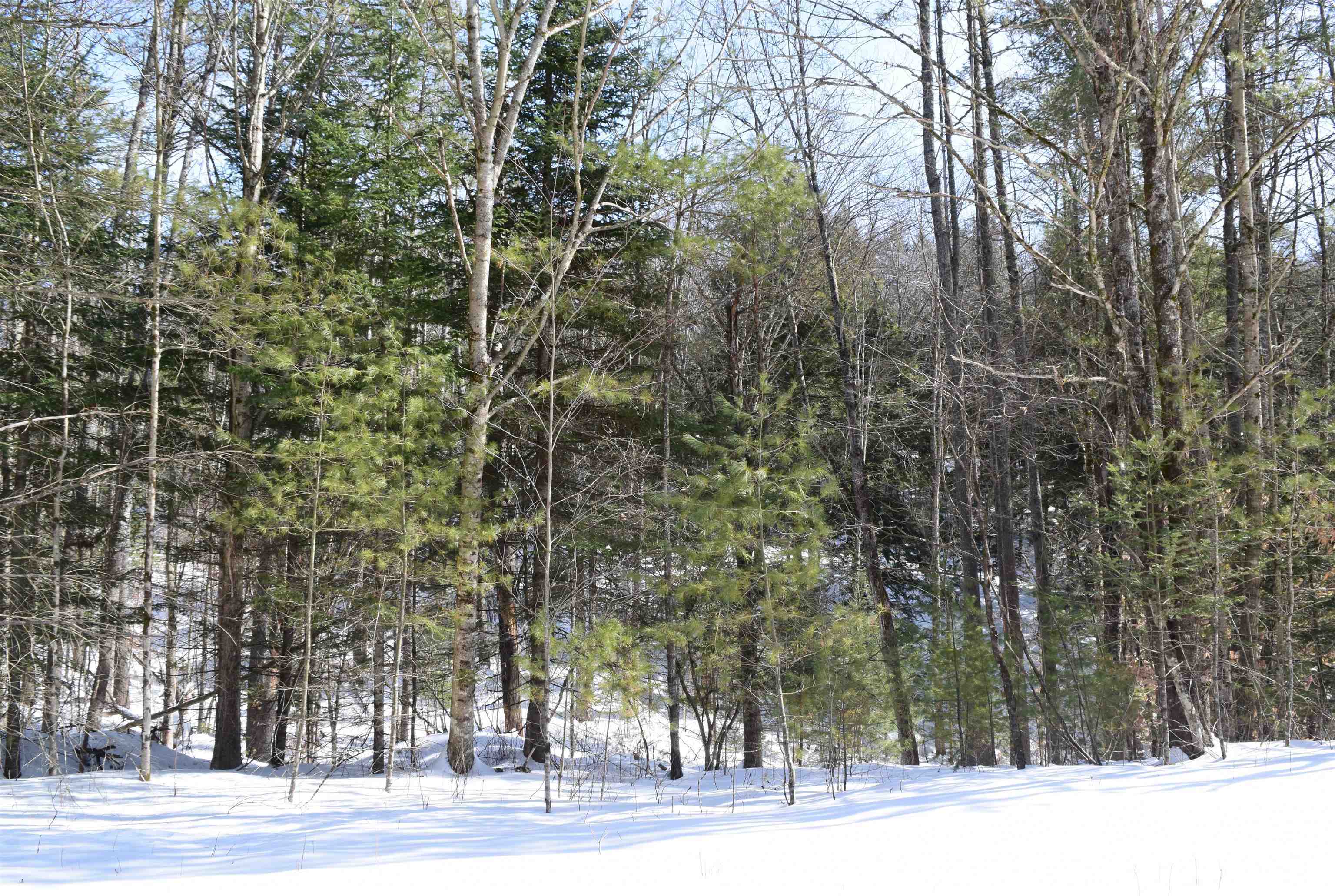 Property Photo: 0 Perch Pond Road R-15 Block 00A Lot 8 Of 442 NH 03585
