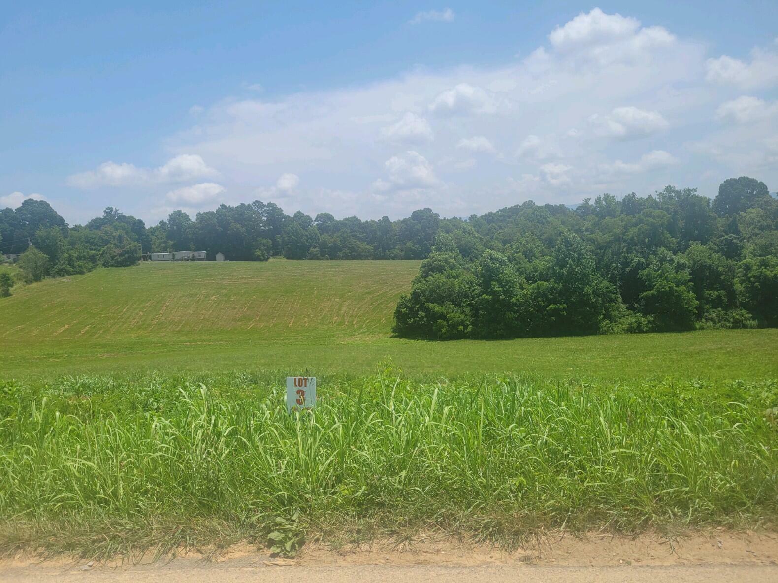 Property Photo:  Lot 3 Sunnyside Road  TN 37743 