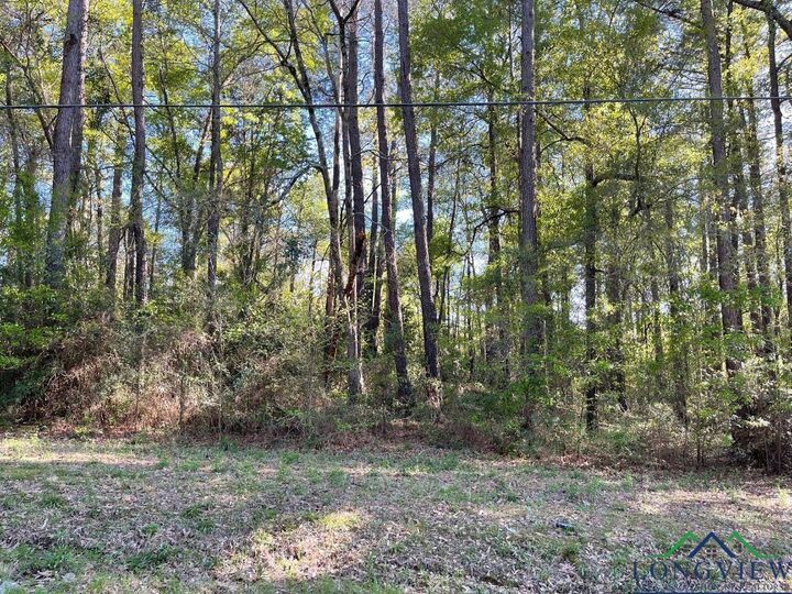 1006 Millie St  Longview TX 75602 photo