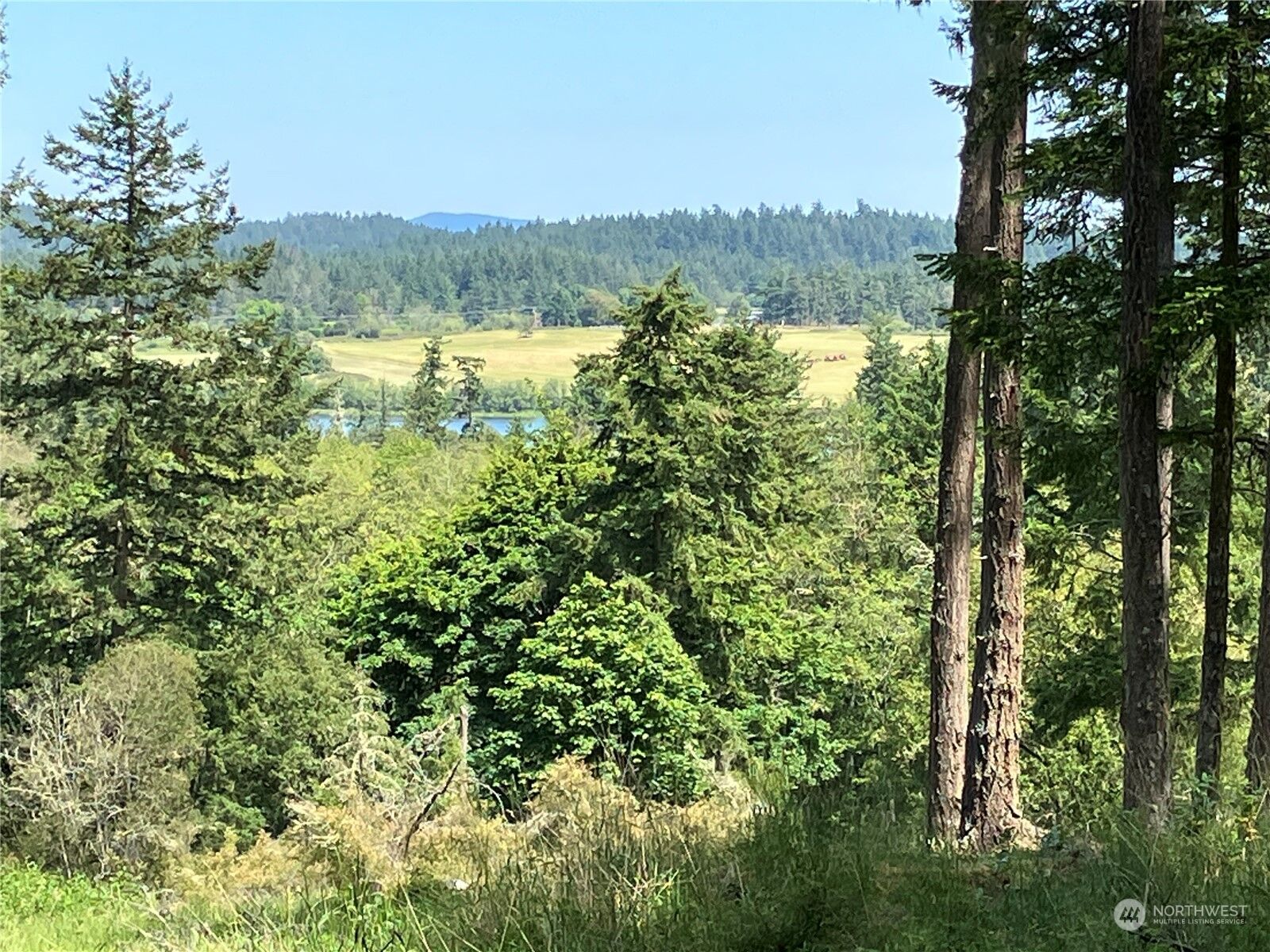 Property Photo:  11 Prospect Road  WA 98250 