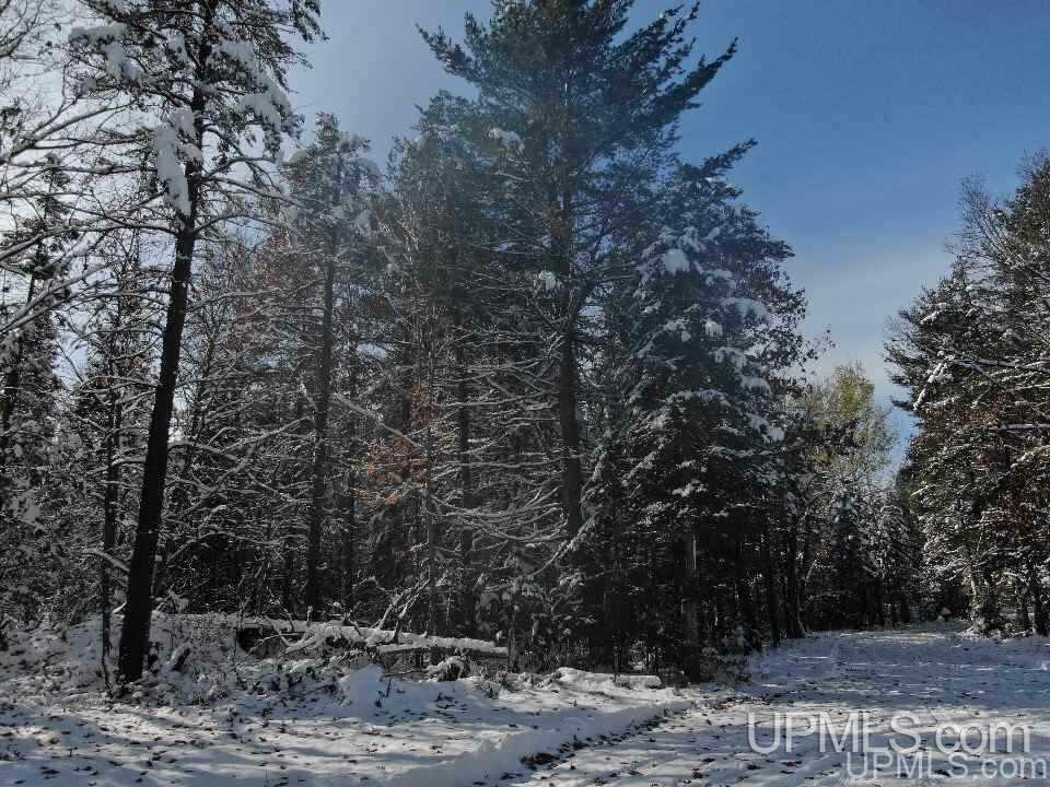 Property Photo:  150 Snowfield Rd  MI 49866 