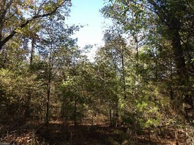 Property Photo: Tract 1 Land Off Meimerstorf Lane AR 72801