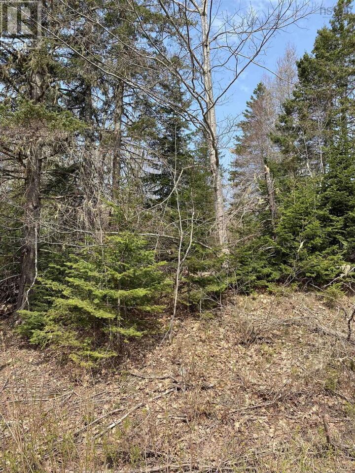 Property Photo:  Hunter Road  NS B0M 1Z0 