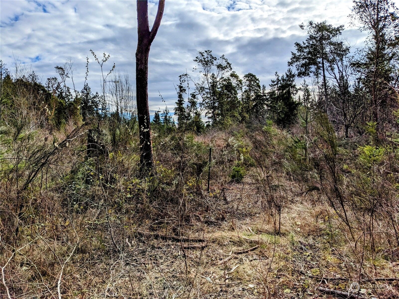 Property Photo:  0  196th Avenue NW  WA 98329 