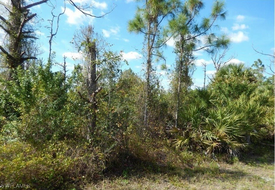 Property Photo:  544 Aspen Avenue S  FL 33974 