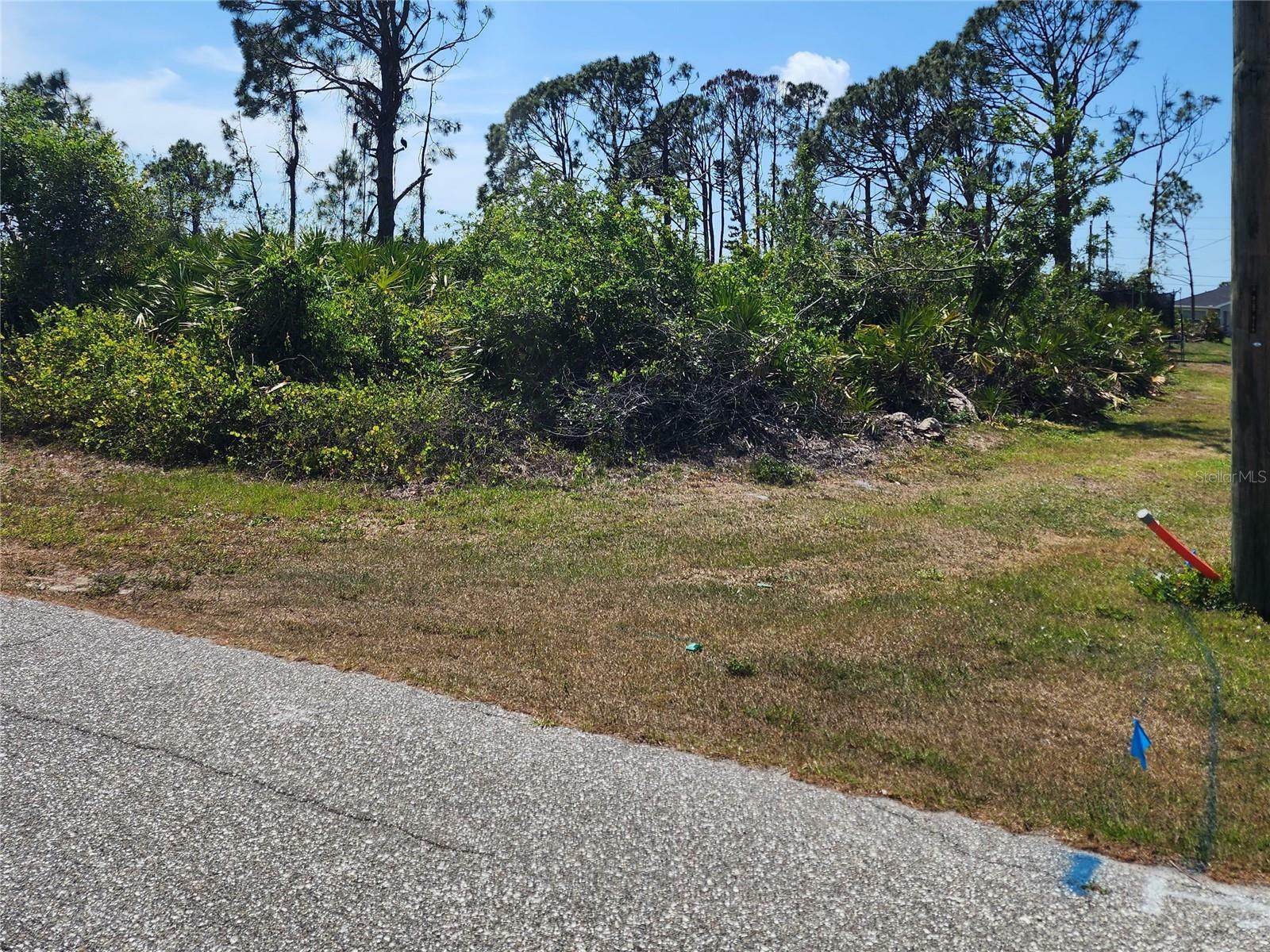 Property Photo:  12282 Appleberg Circle  FL 33981 