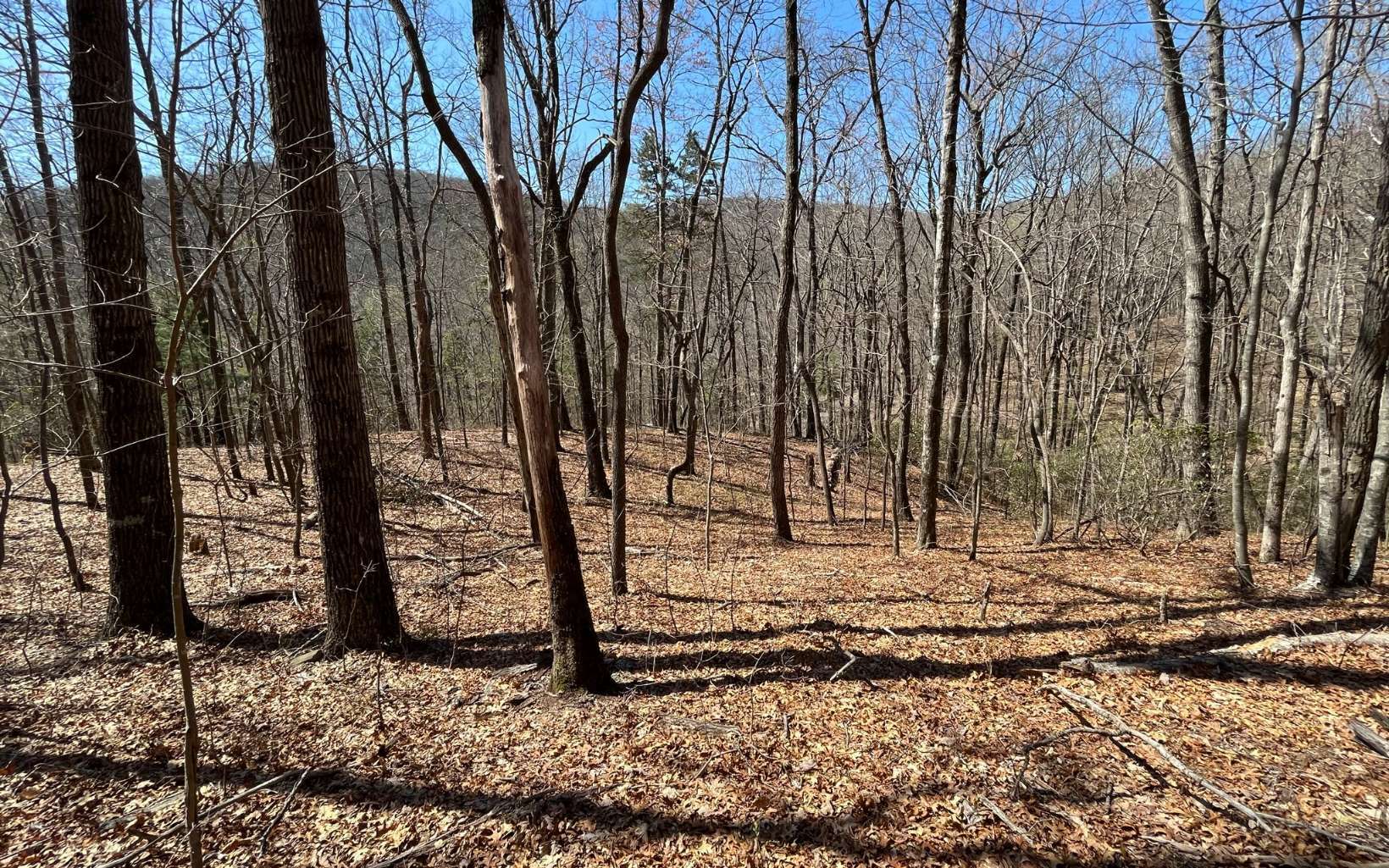 Property Photo:  Huckleberry Cove Road  GA 30143 