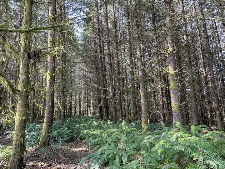 Property Photo: 0 Nikula Road WA 98596