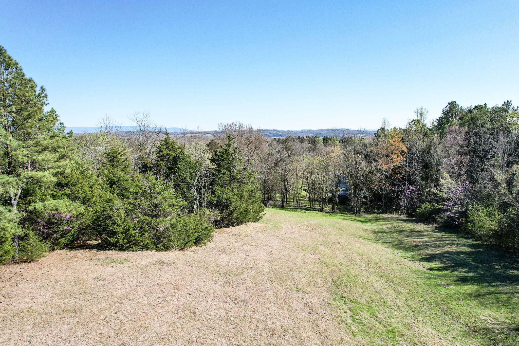 40 Acres Goodman Loop  Bulls Gap TN 37711 photo