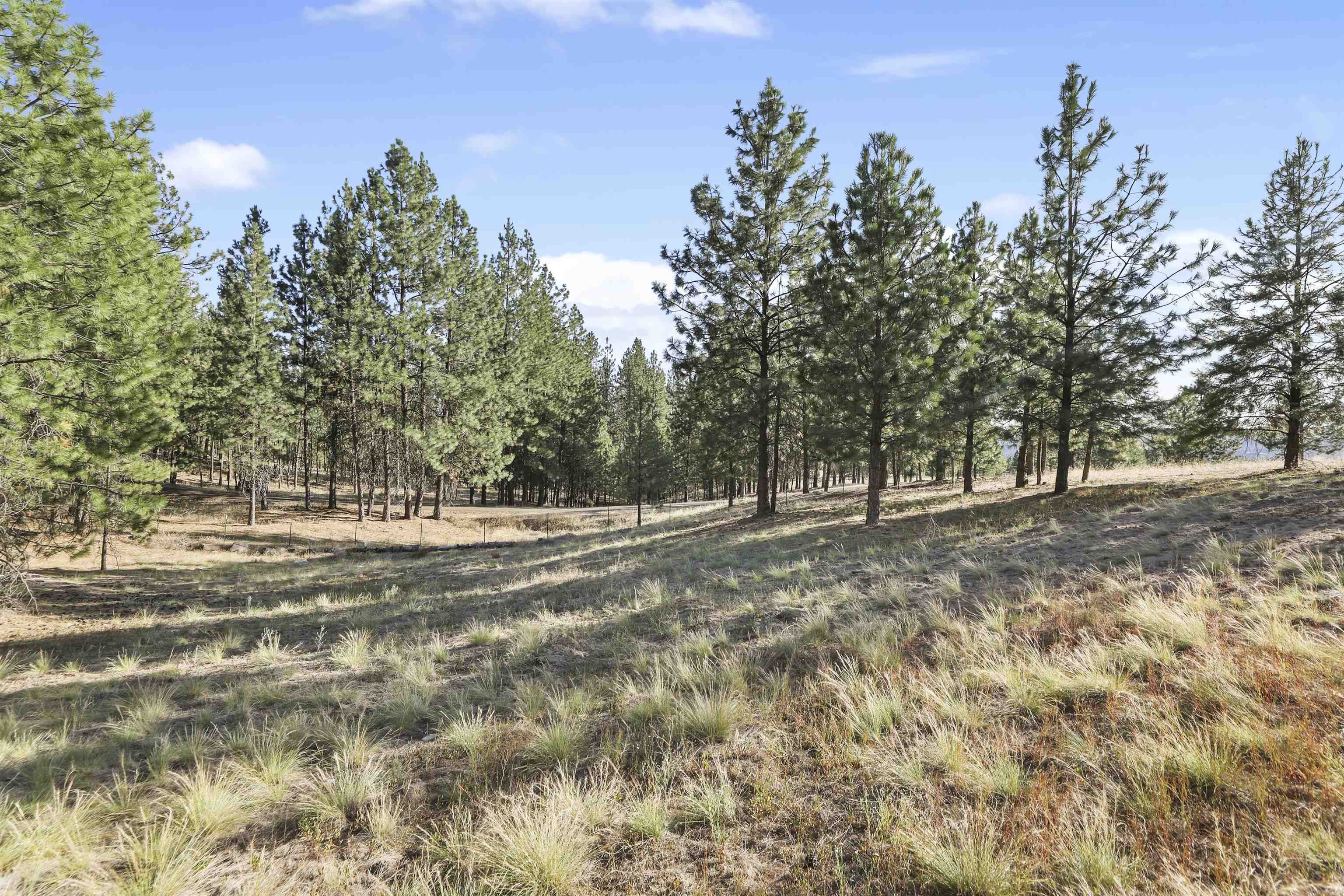Property Photo: Lot 49 Westview Dr L14 B1 WA 99026