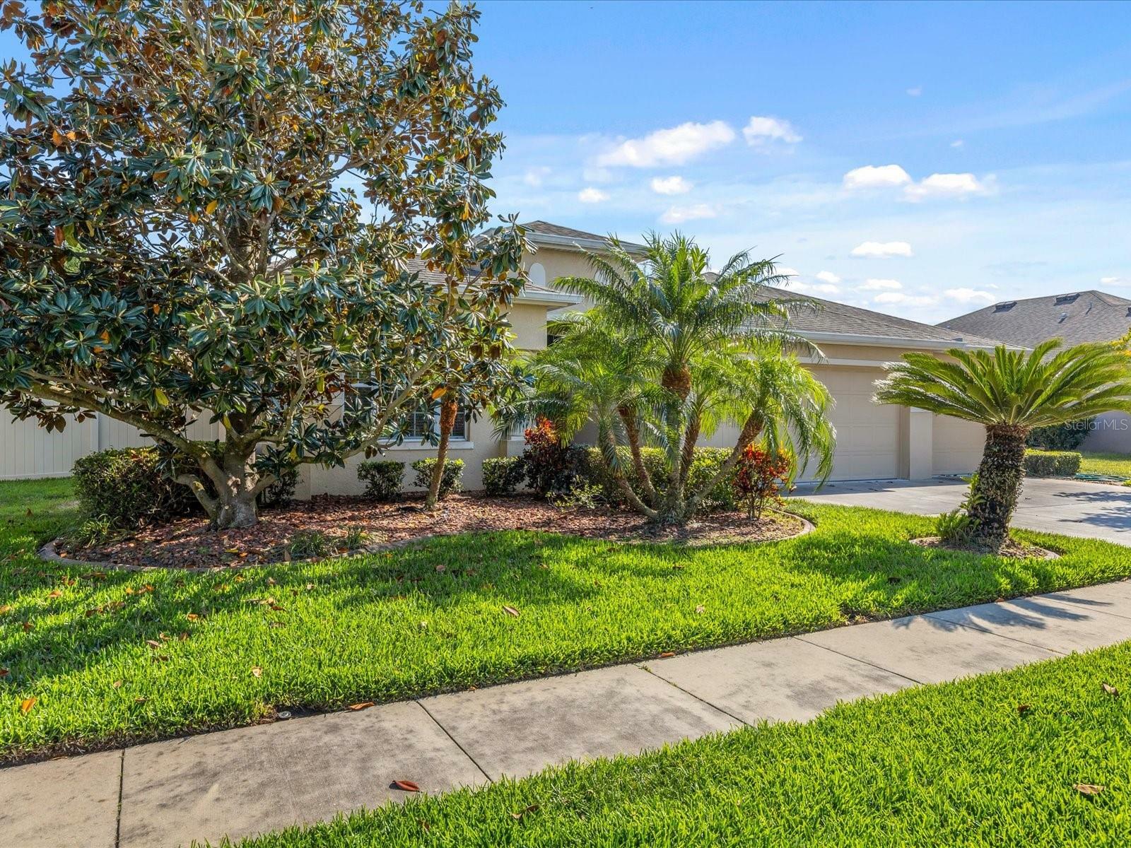 Property Photo:  2314 Triggerfish Court  FL 34691 