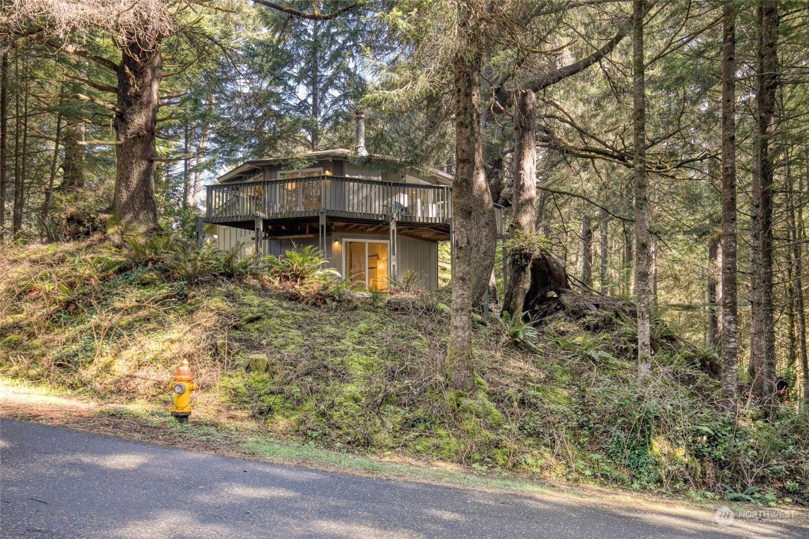 Property Photo: 12 Nancy Lane WA 98535