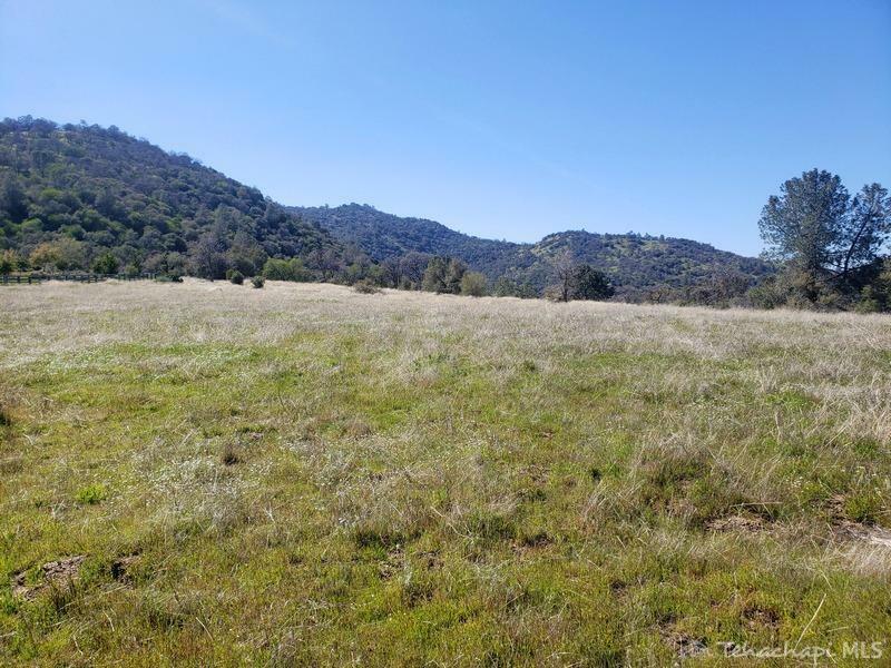 Property Photo:  0 Carlyle Springs Road  CA 93531 