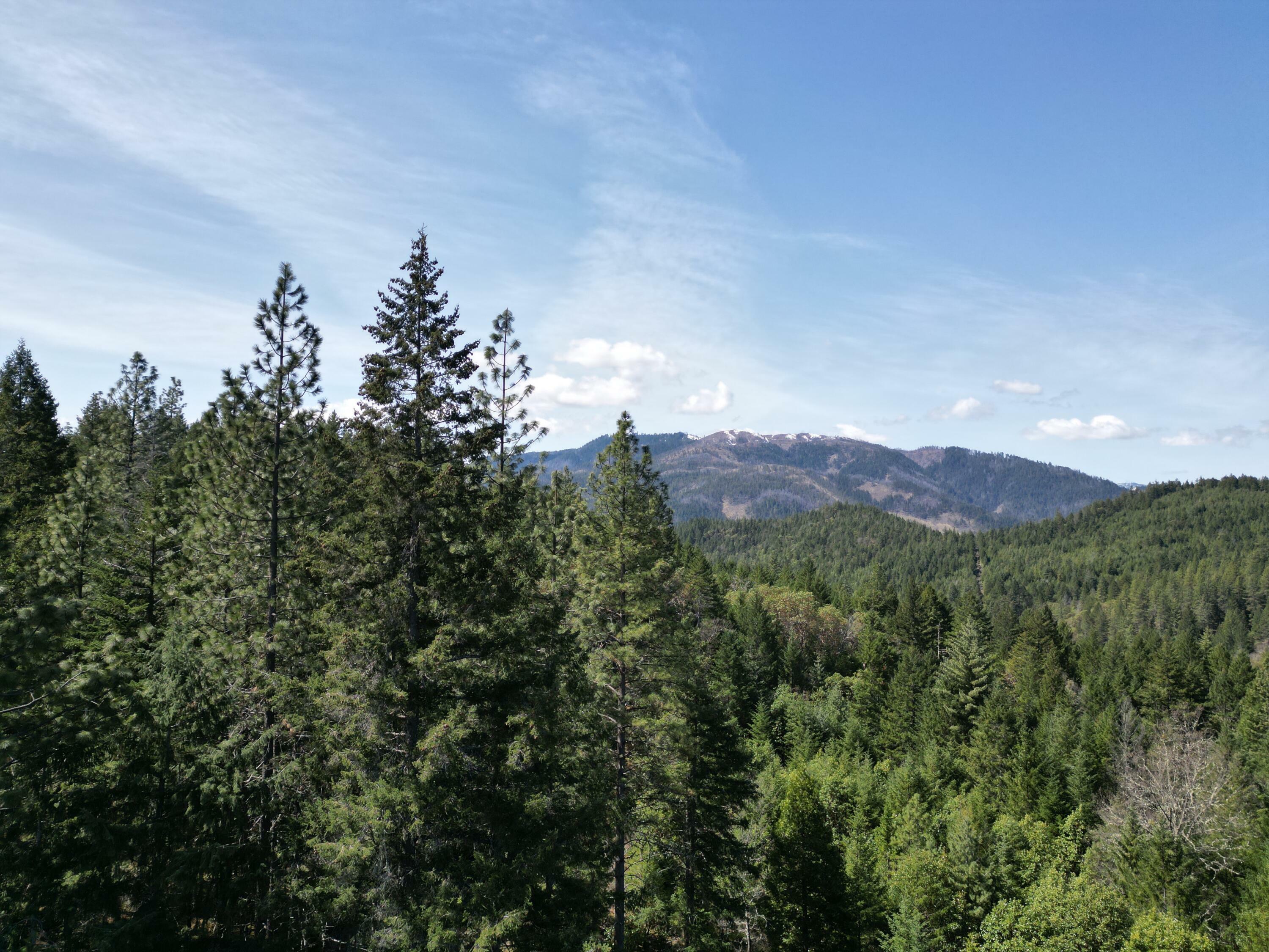 Property Photo: 2275 Crow Road Road OR 97532