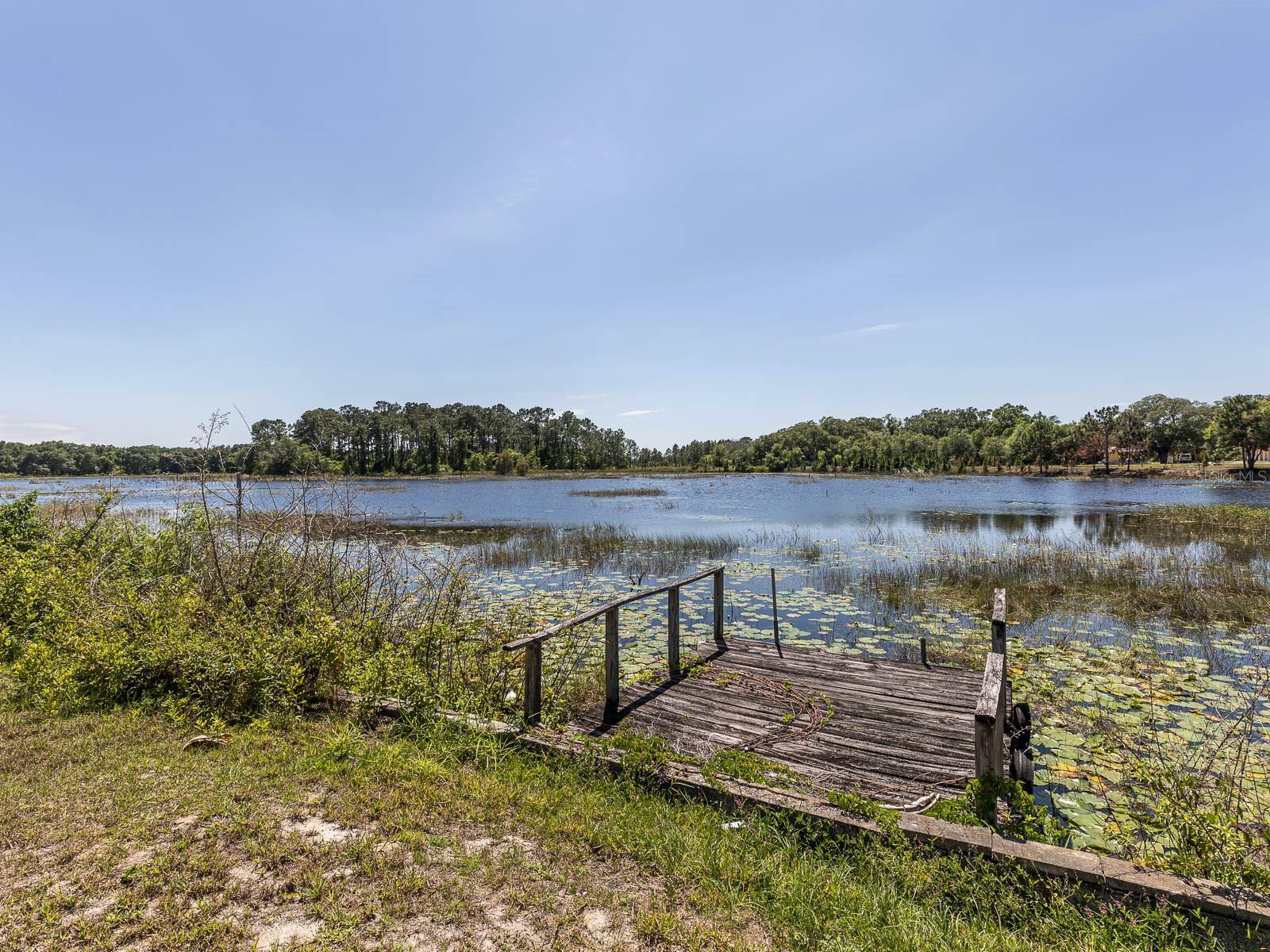 Property Photo:  24707 Palmetto Drive  FL 34748 