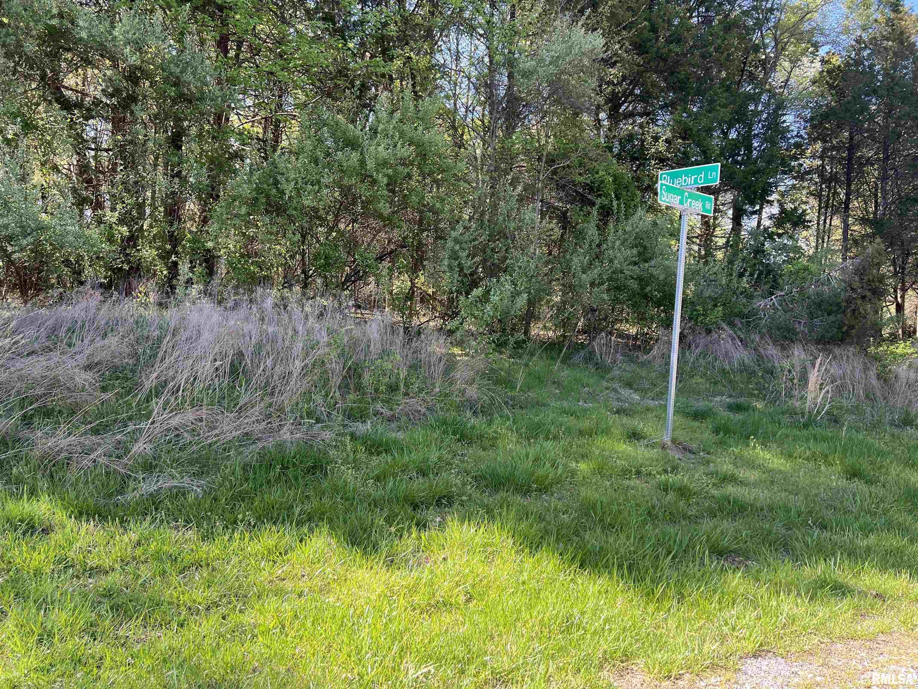 Property Photo: Lot 76 Sugar Creek Road IL 62939