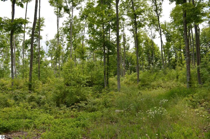 Property Photo: Sparling Road, E MI 49649