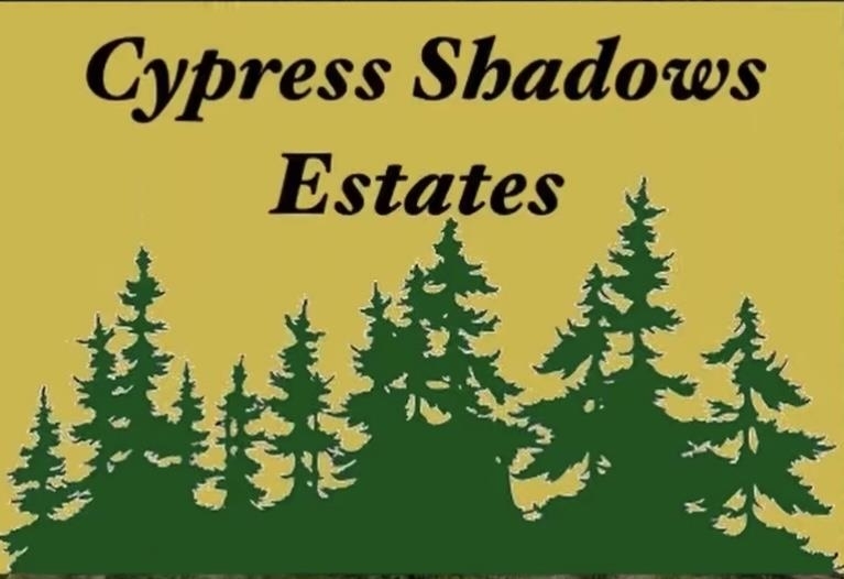 2670 Cypress Shadows Lane  Orange TX 77630 photo