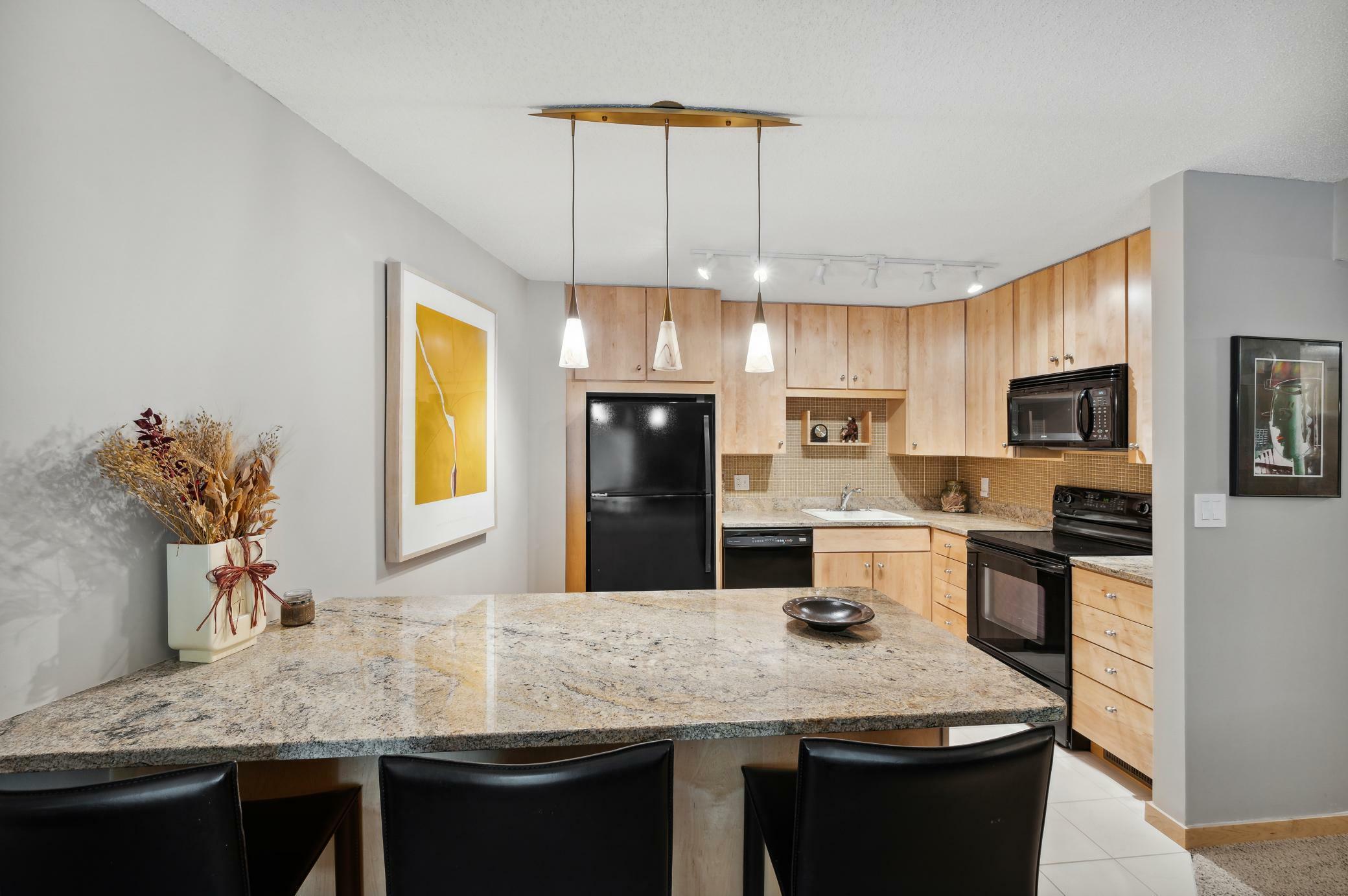 Property Photo: 210 W Grant Street 216 MN 55403