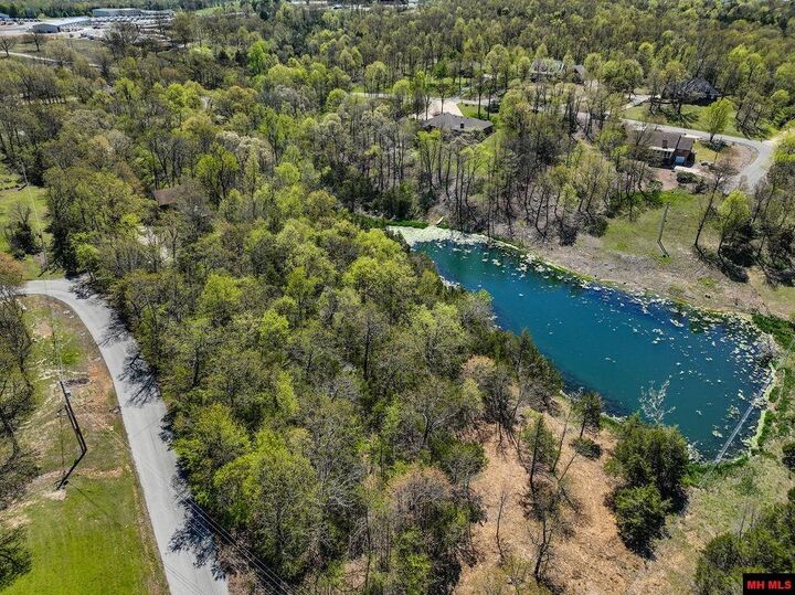 32 Wildwood Circle  Mountain Home AR 72653 photo