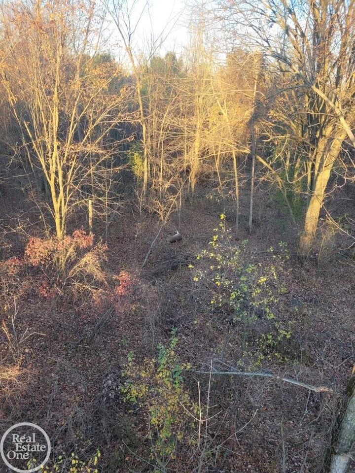 Reddicliffe  Melvin MI 48454 photo