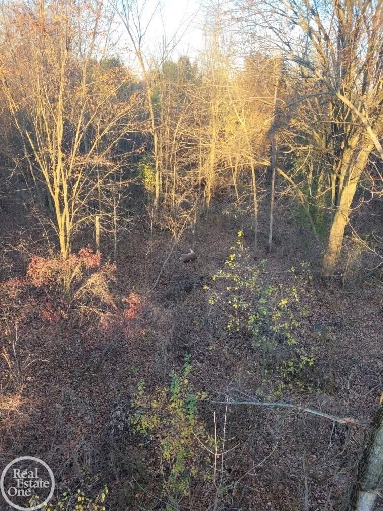 Property Photo: Reddicliffe MI 48454