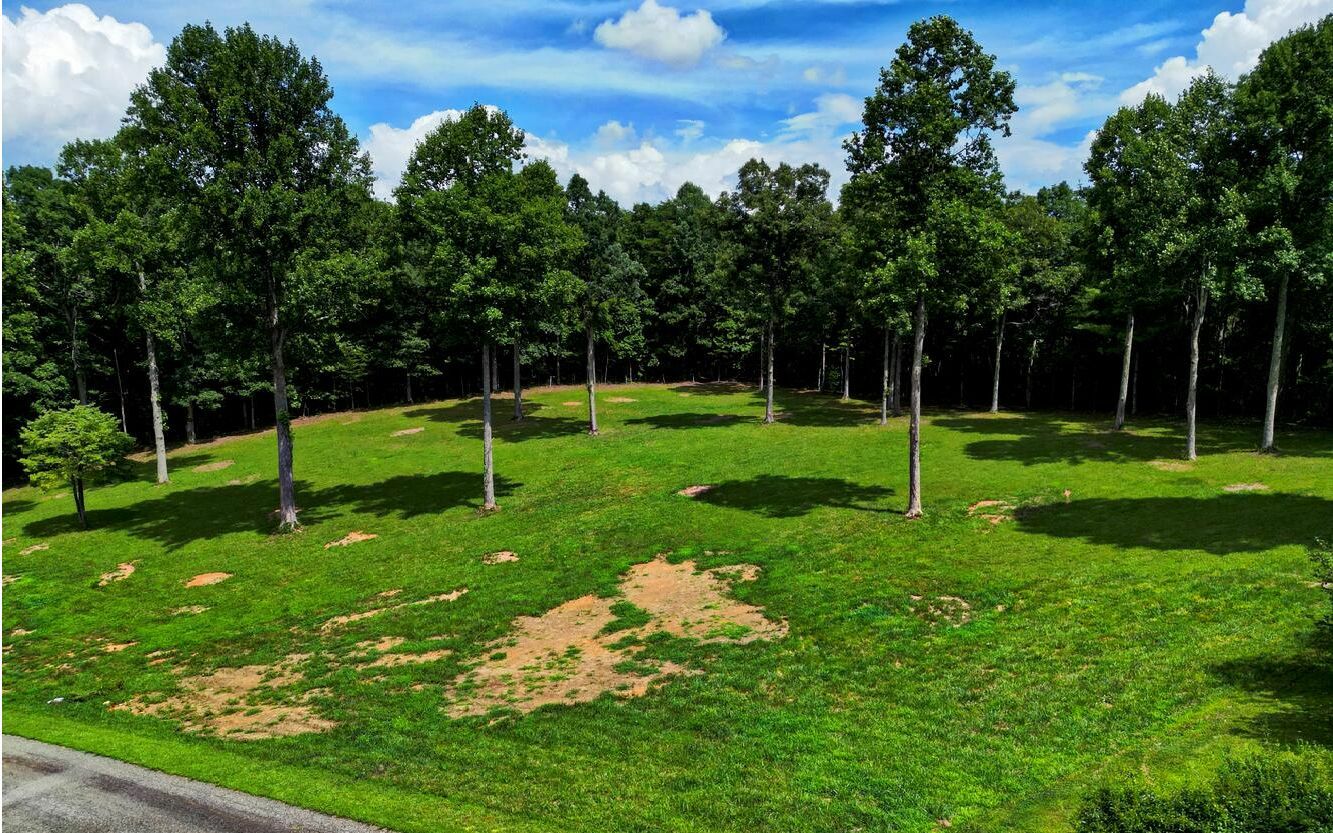 Property Photo:  Lot21 Pleasant Meadows  GA 30512 