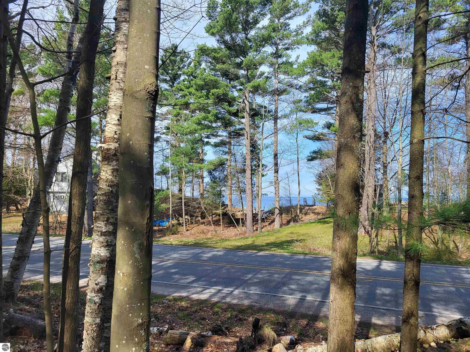 Property Photo: 00 Lakeshore Road MI 49660