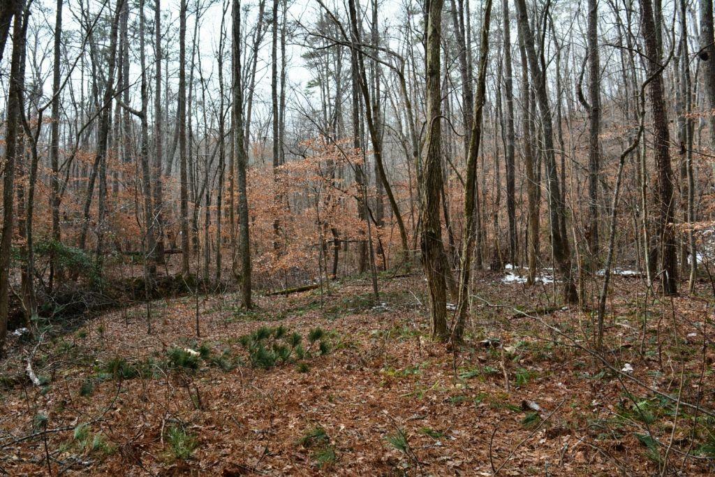 Property Photo:  0 Willow Springs Road  GA 30132 