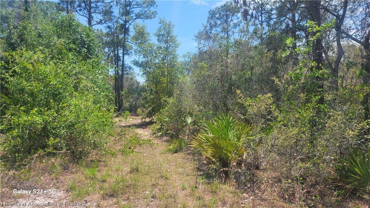 Property Photo: 3373 Gossamer Avenue FL 33852