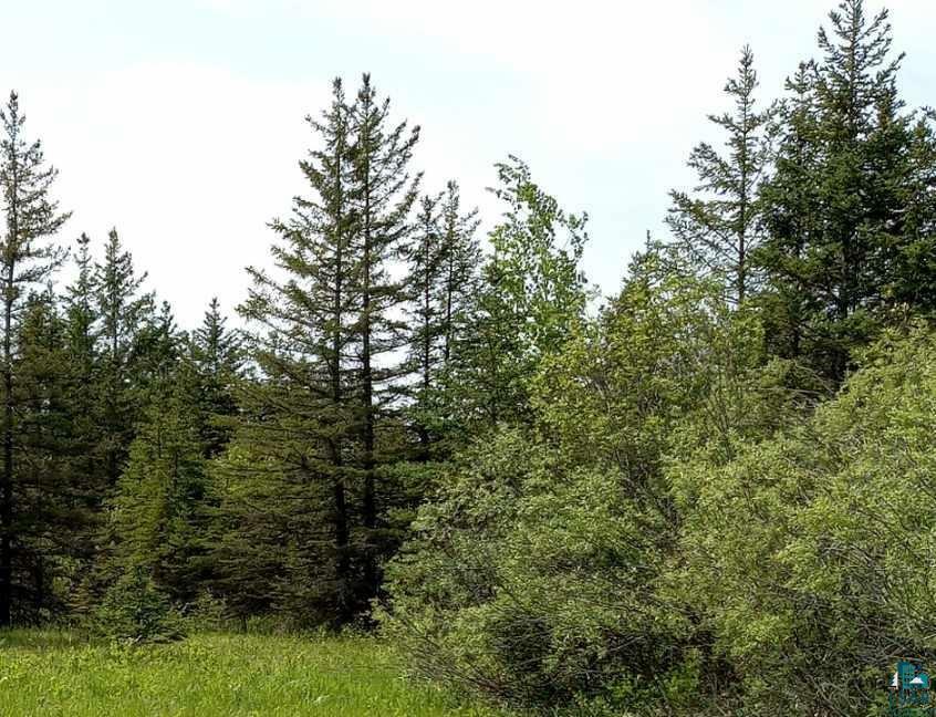 Property Photo:  Xxx S Millview Rd  WI 54874 