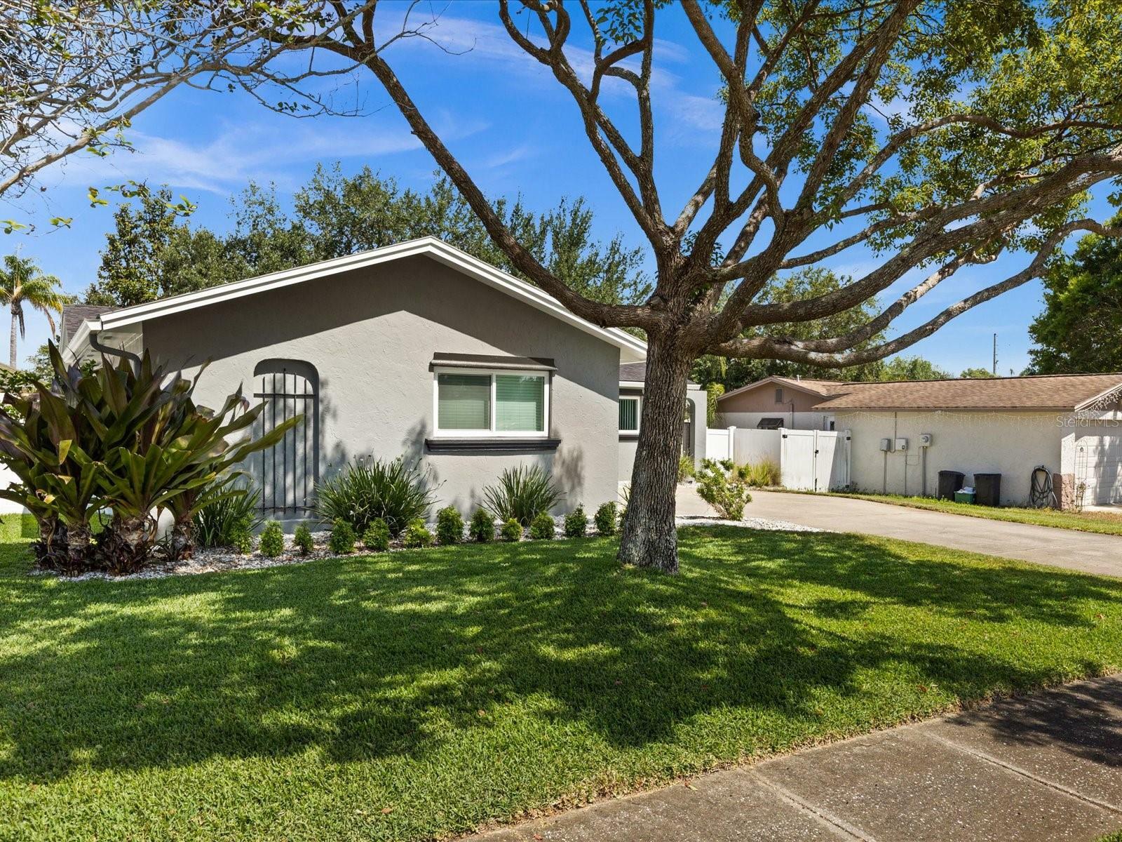 Property Photo:  1715 Cromwell Drive  FL 34689 