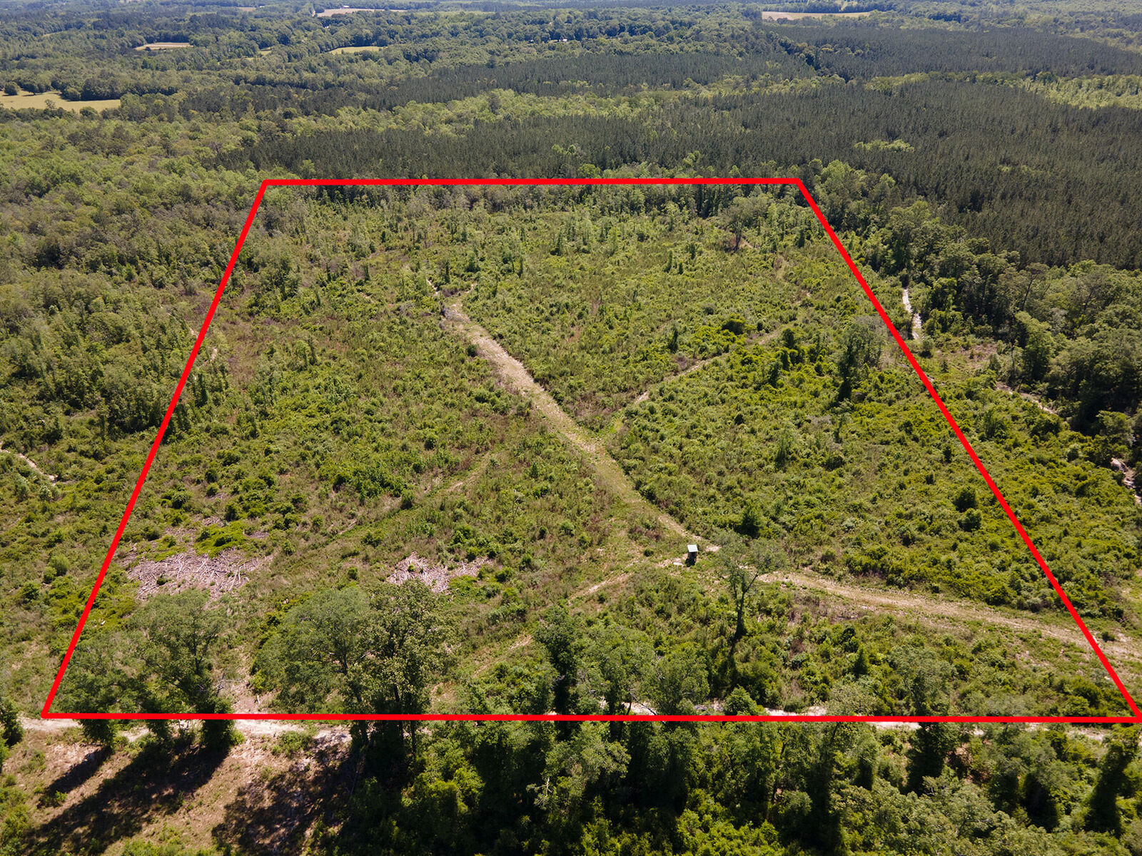 Property Photo: 000 Andrews Road 40 Acres FL 32464
