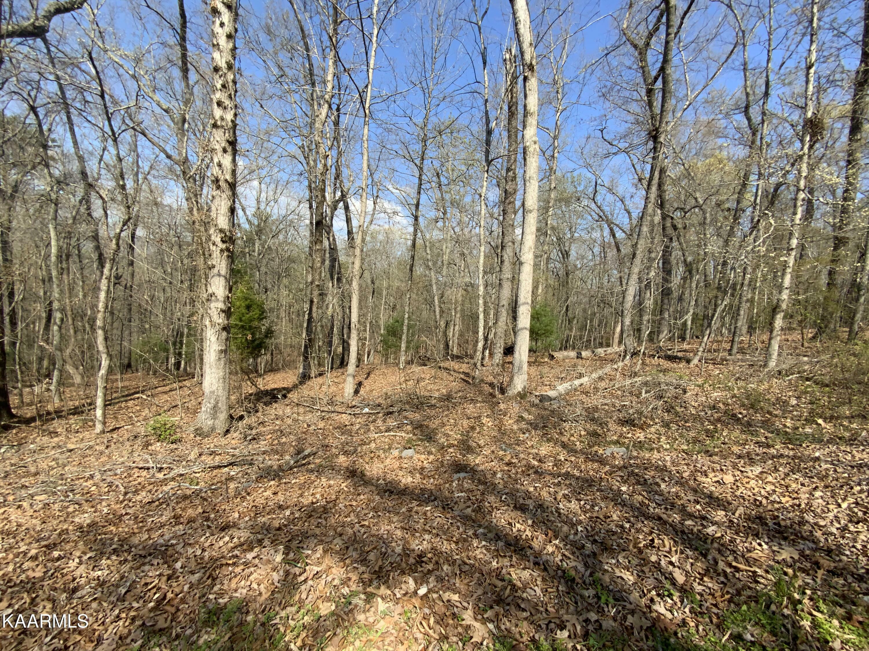 Property Photo:  Rendezvous Road Lot #22  TN 37854 