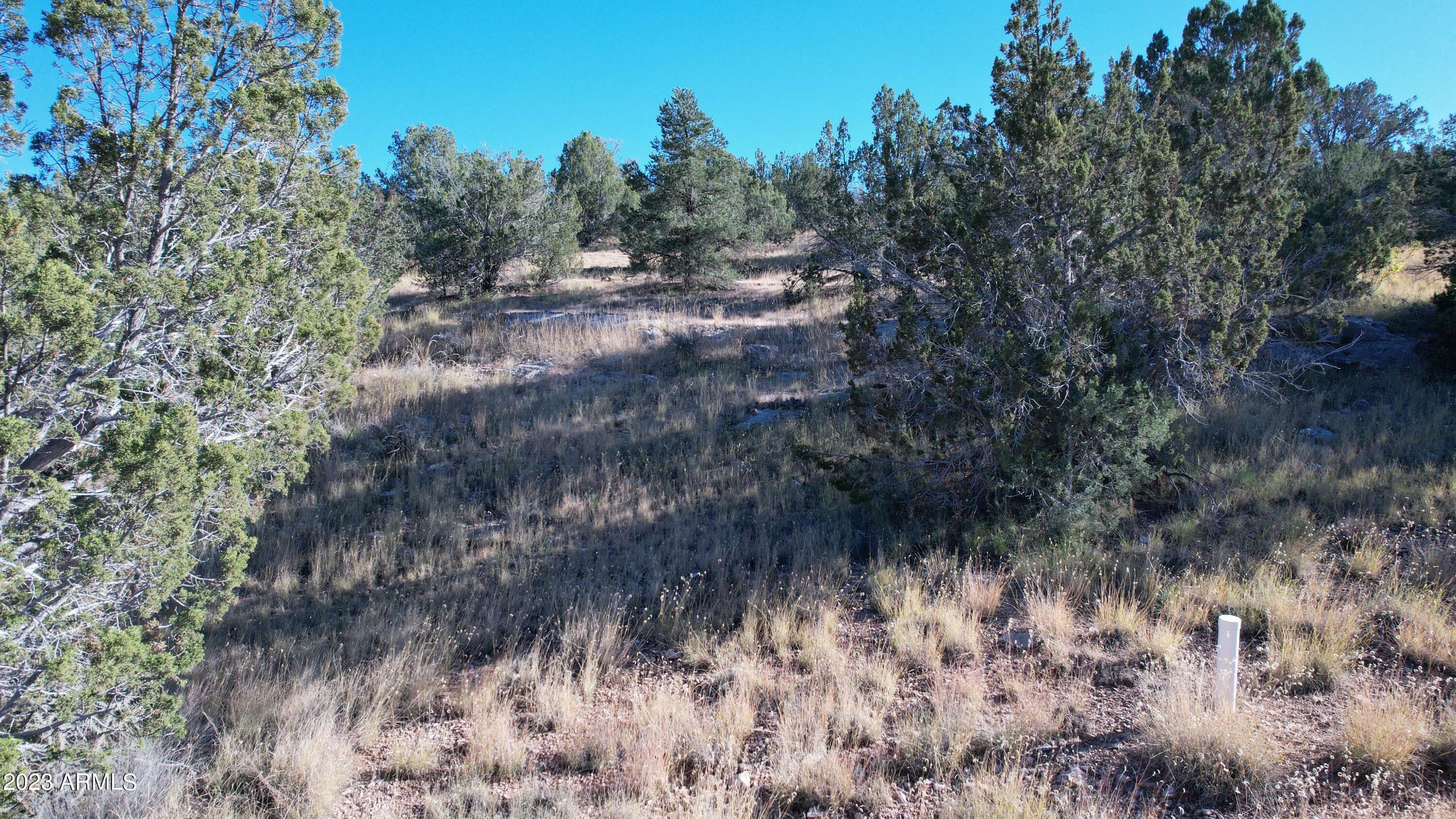 Property Photo:  30863 W Basconia Road 4315  AZ 86337 