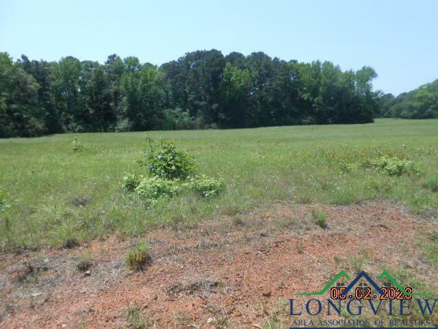 Property Photo: Lot 4 5.287 Ac Cr 217 TX 75652