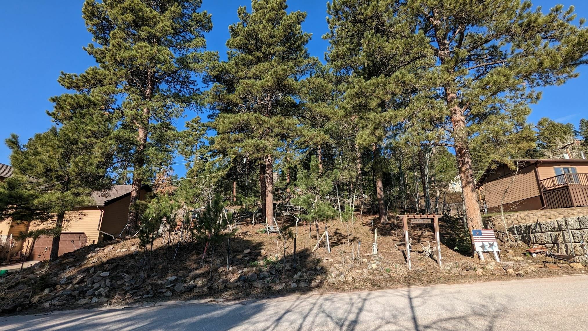 Property Photo:  Lot 7 Mountain View Drive  SD 57754 