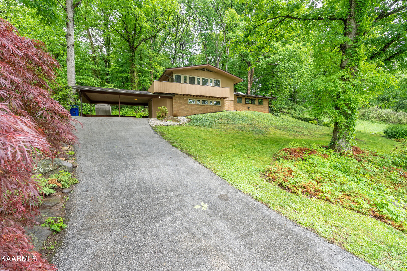 Property Photo: 115 Lewis Lane TN 37830