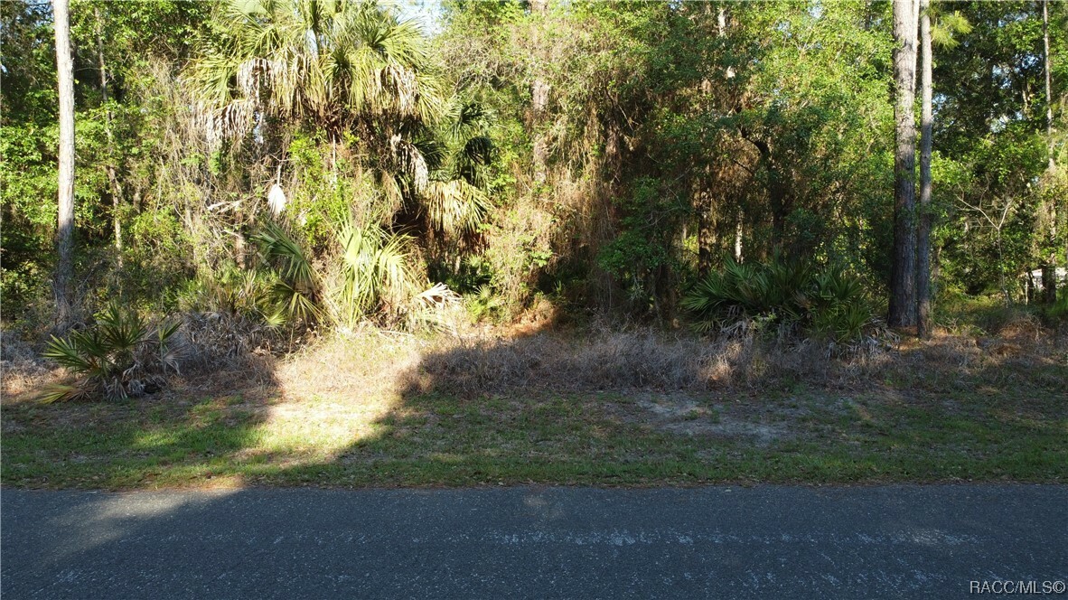 Property Photo:  8742 N Maple Avenue  FL 34428 