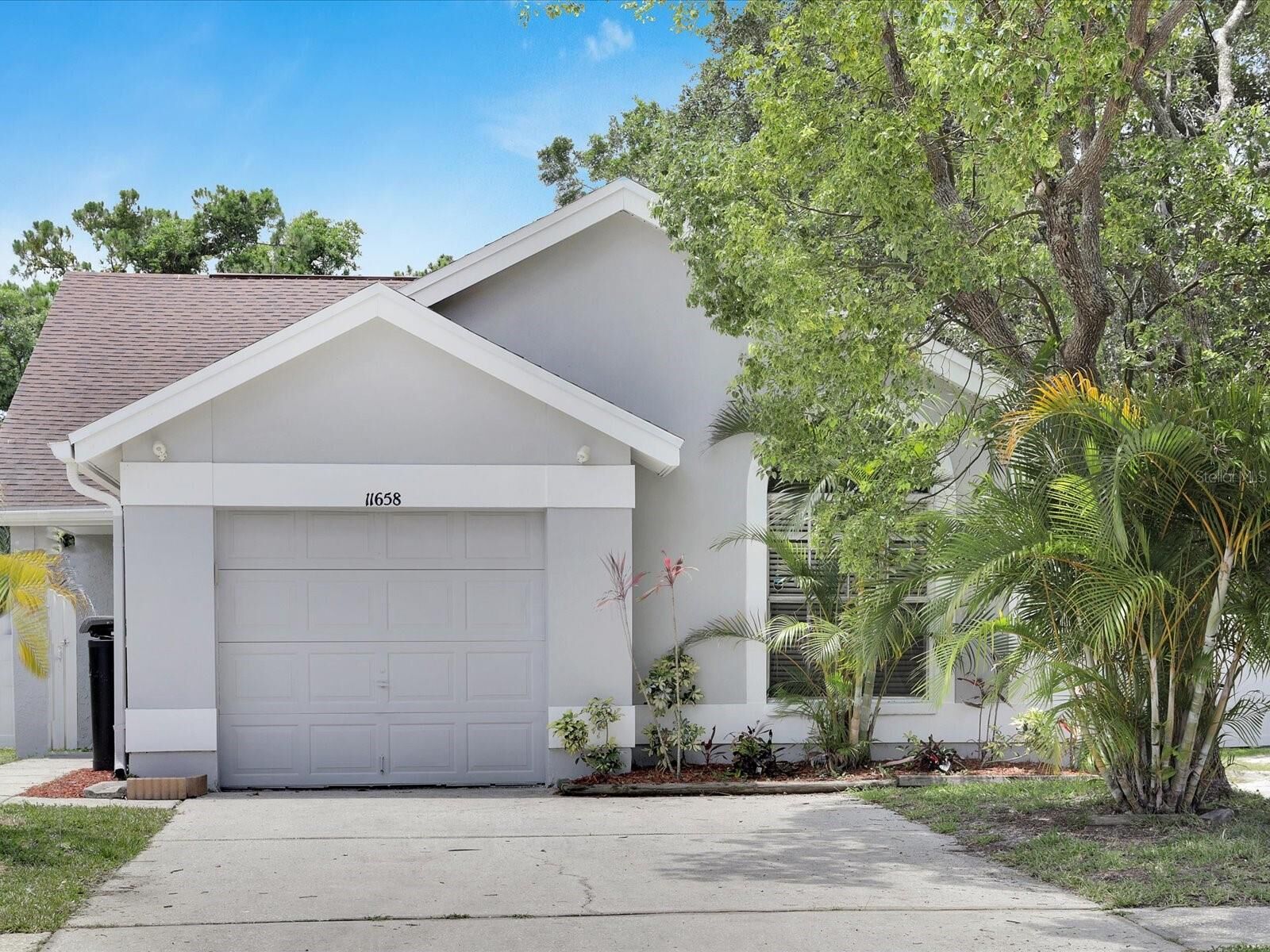 Property Photo:  11658 Sunshine Pond Road  FL 33635 