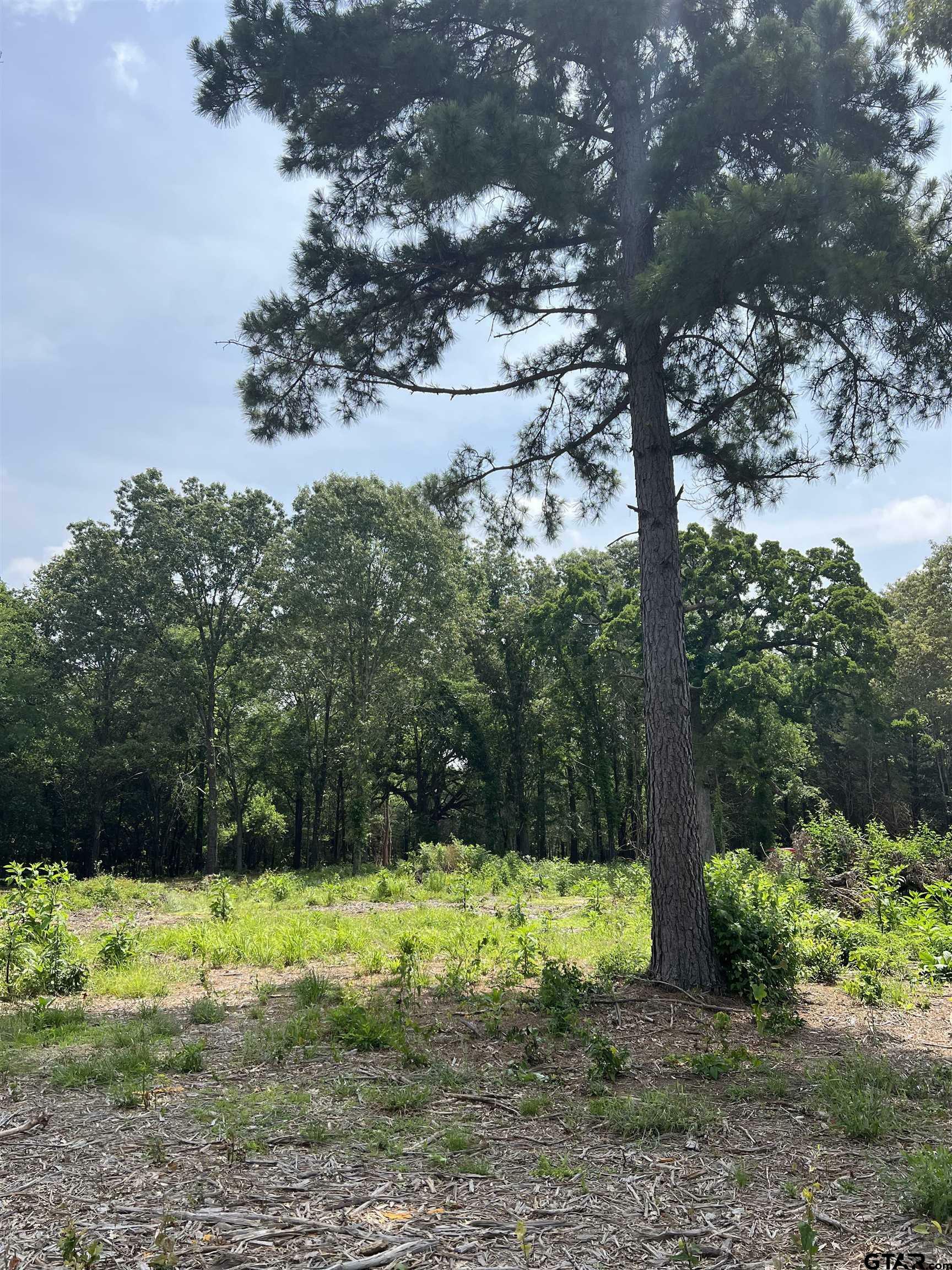 Property Photo:  17468 County Road 479 Lot 5  TX 75771 